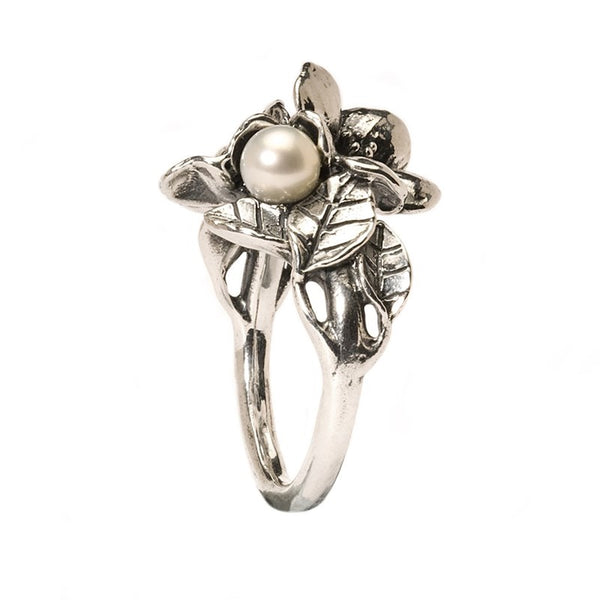 Hawthorn With Pearl Ring